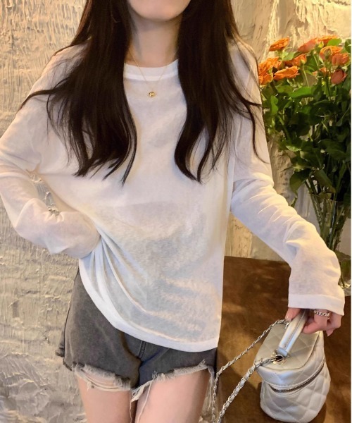 Per sist ence（パーシエンス） tシャツ ロングスリーブシアートップス