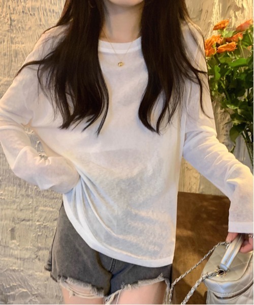 Per sist ence（パーシエンス） tシャツ ロングスリーブシアートップス