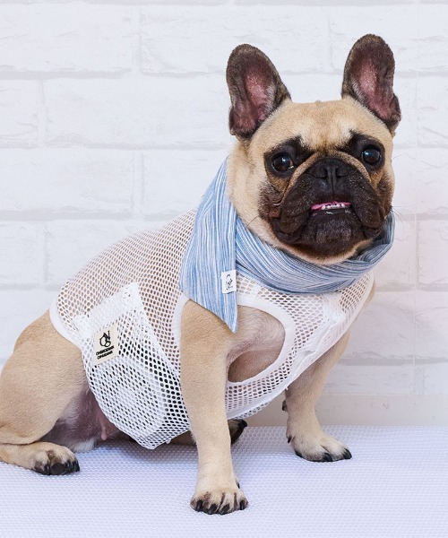 10個セット 犬服&buhipanicクールネック 新品未使用 中古 フレブル 2025年最新】フレンチブルドッグ用クールネックの人気アイテム