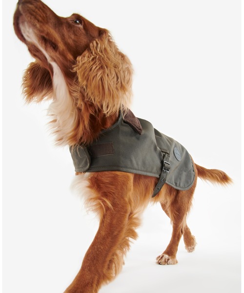 犬服・アクセサリー barbour wax dogs coat Wax Dog Coat (Olive) - Barbour – Cold Spring General Store