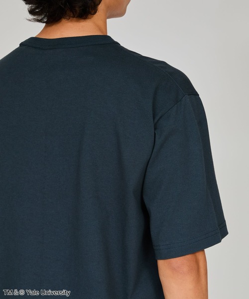 「Champion」 半袖Tシャツ LARGE ブルー系その他2 メンズ_画像2