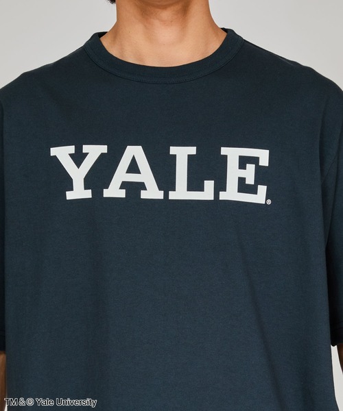 「Champion」 半袖Tシャツ LARGE ブルー系その他2 メンズ_画像4