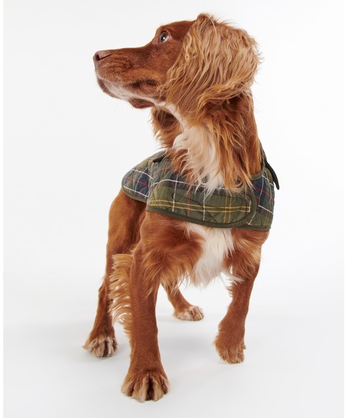 Barbour（バブアー） 犬 服 タータンキルト ドッグコート : ZOZOTOWN