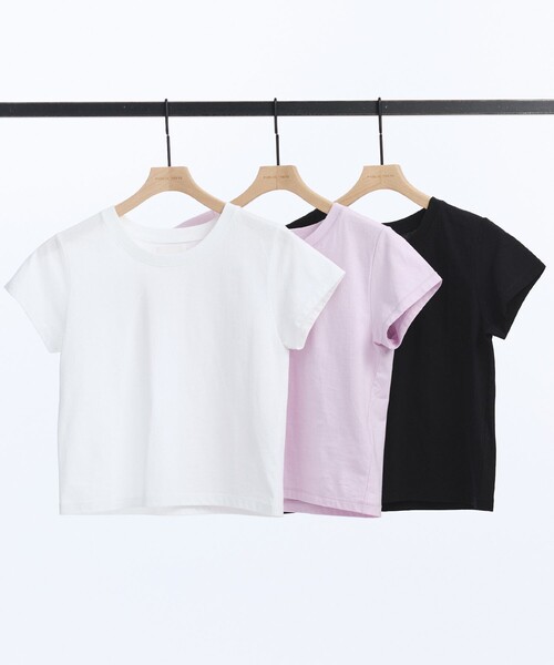 tシャツ 極 TEE BASIC レディース