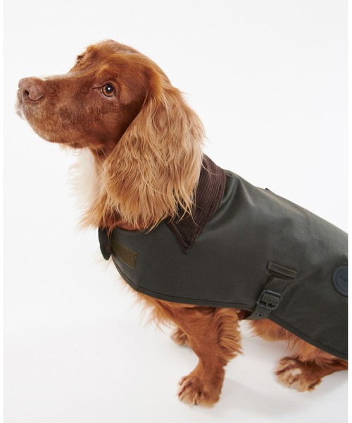 Barbour（バブアー） 犬 服 ワックス コットン ドッグ コート