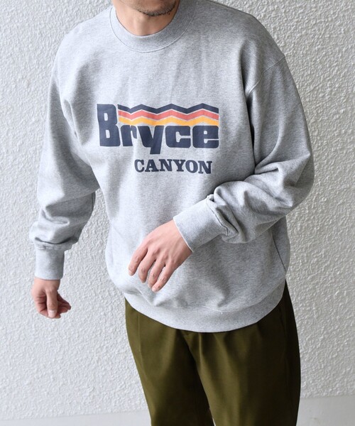 SHIPS any トレーナー スウェット 「WEB限定」SHIPS any: NATIONAL