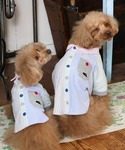 犬 服 「犬服・ドッグウェア」ハッピーシャツの詳細画像2