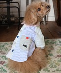 犬 服 「犬服・ドッグウェア」ハッピーシャツの詳細画像3
