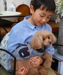 犬 服 「犬服・ドッグウェア」ハッピーシャツの詳細画像5
