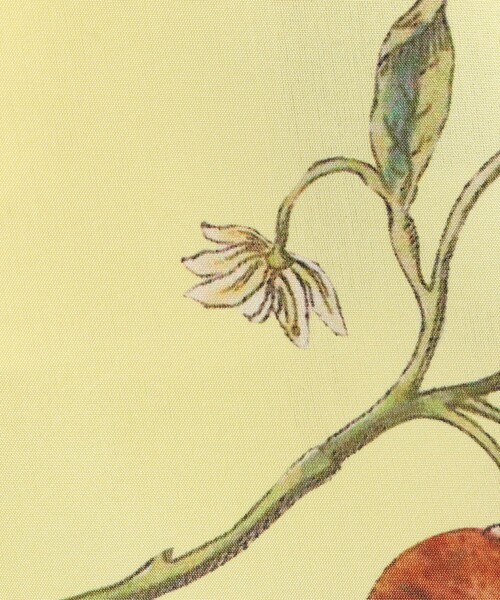 CABaN（キャバン） スカート シルク Green Showerプリント フレア