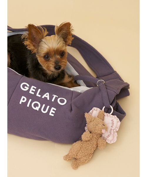 gelato pique（ジェラートピケ） 「CAT＆DOG」マルチーズ/ヨークシャー