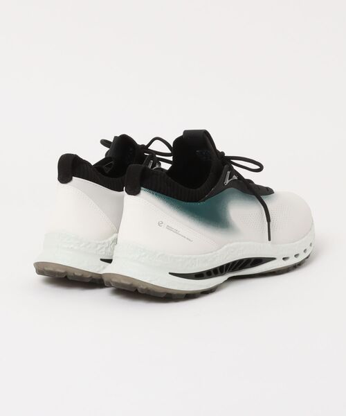 ecco（エコー） 革靴 ビジネスシューズ 売れ筋 GOLF BIOM C5 メンズ 本