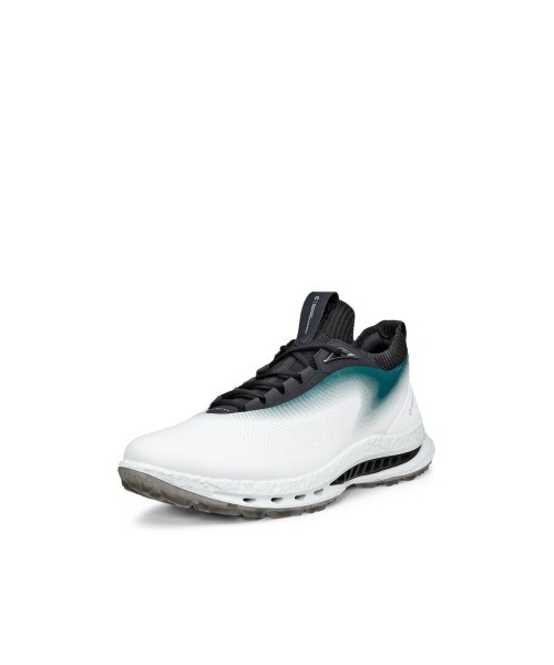 ecco（エコー） 革靴 ビジネスシューズ 売れ筋 GOLF BIOM C5 メンズ 本