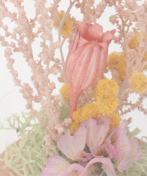 LBC（エルビーシー） 花瓶 ミモザコルクブーケ S : ZOZOTOWN Yahoo!店