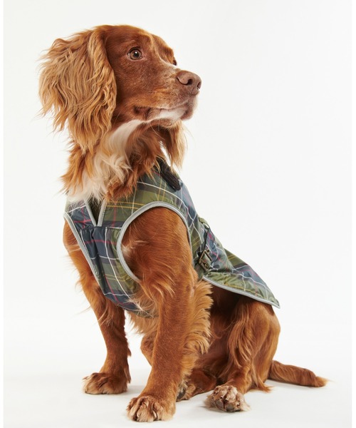Barbour（バブアー） 犬 服 ウォータープルーフ タータン ドッグコート