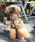犬 服 「犬服・ドッグウェア」撥水総柄フードJKの詳細画像5