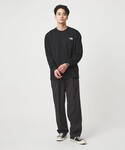 tシャツ 「THE NORTH FACE」バッ...の詳細画像4