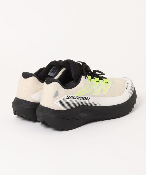 スニーカー SALOMON サロモン AERO FLOW GRVL GTX アウトドアシューズ L49256600 メンズの画像