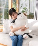 おもちゃ ねこ肯定感抱きまくら BIGサイズの詳細画像2