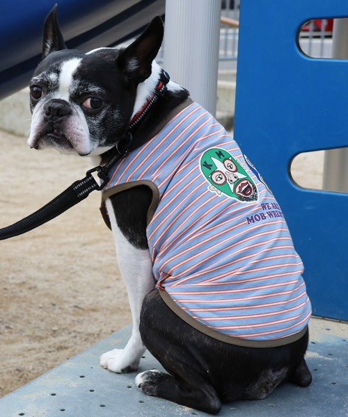 KRIFF MAYER（クリフメイヤー） 犬 服 モブレスラーボーダーT