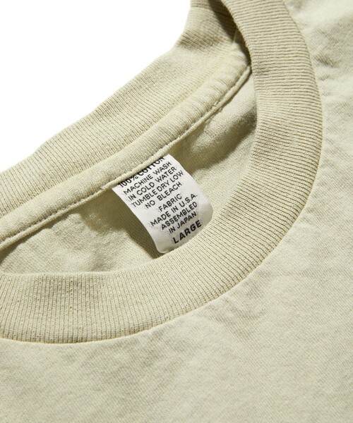 FREAK'S STORE（フリークスストア） tシャツ NIRVANA INCESTICIDE TEE