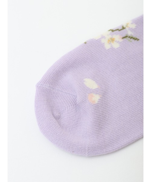 PINK HOUSE（ピンクハウス） 靴下 桜Teddyソックス レディース