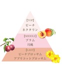 香水 フェルナンダ fernanda フレグラ...の詳細画像1