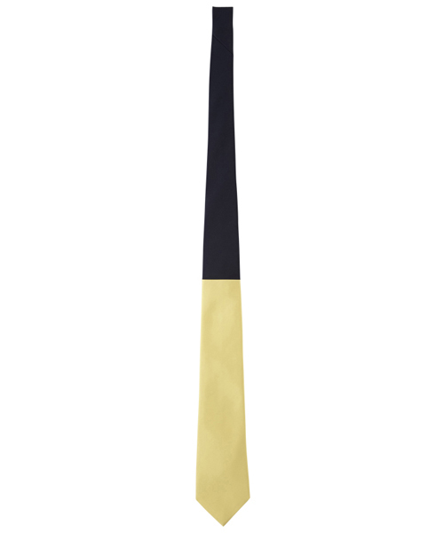 giraffe（ジラフ） ネクタイ バイカラークレリックタイ NAVY×YELLOW