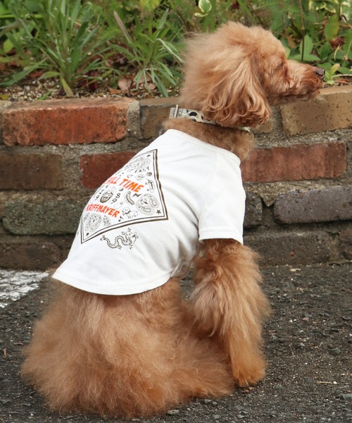 KRIFF MAYER（クリフメイヤー） 犬 服 「犬服・ドッグウェア