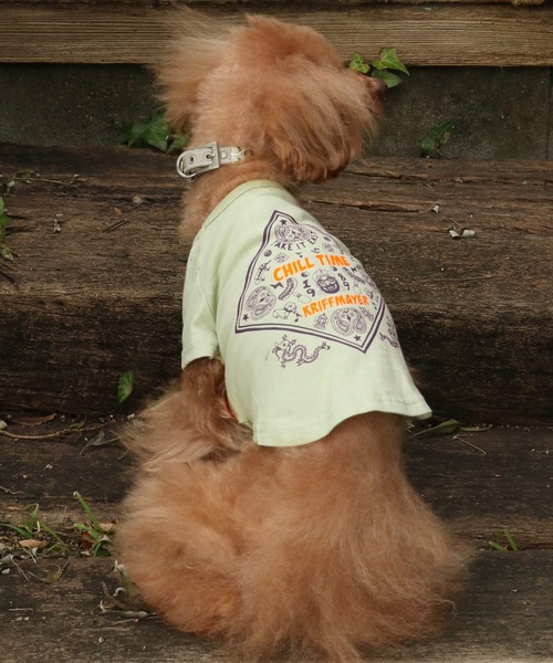KRIFF MAYER（クリフメイヤー） 犬 服 「犬服・ドッグウェア