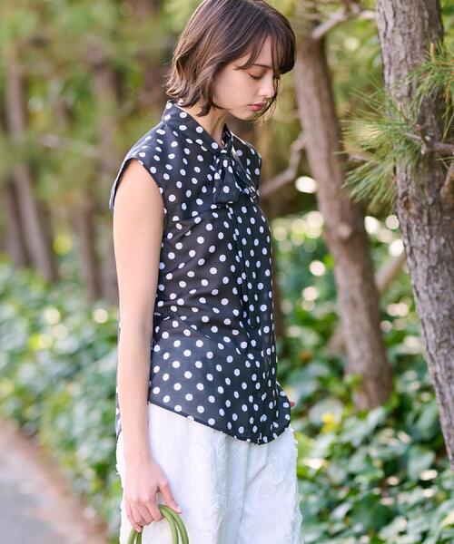 DRESSTERIOR（ドレステリア） ブラウス シャツ 「透け感/ドット柄