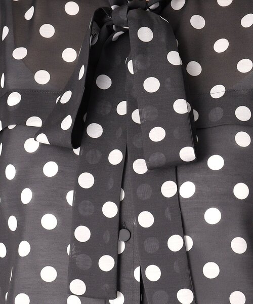 DRESSTERIOR（ドレステリア） ブラウス シャツ 「透け感/ドット柄