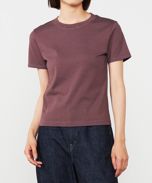 tシャツ Yonetomi | 「別注」クルーネックボーダーTシャツ WOMEN レディース