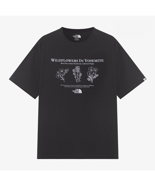 THE NORTH FACE（ザ ノースフェイス） ノースフェイス tシャツ 国内未
