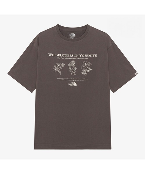 THE NORTH FACE（ザ ノースフェイス） ノースフェイス tシャツ 国内未