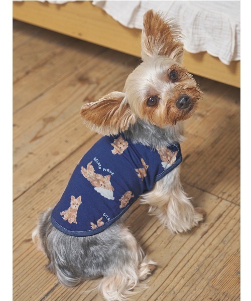RALPH LAUREN HOME（ラルフ ローレン ホーム） 犬 服 Polo ベア ウール