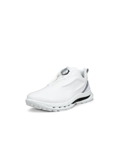 ecco（エコー） 革靴 ビジネスシューズ 売れ筋 GOLF BIOM C5 メンズ 本