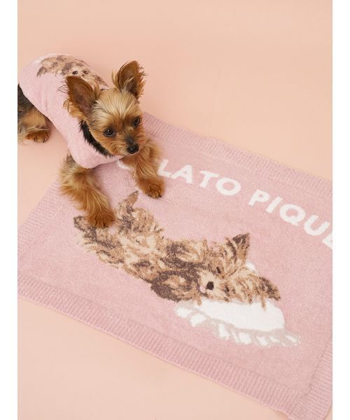 gelato pique（ジェラートピケ） 犬 服 「CAT＆DOG」スムーズィー