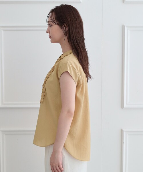 DRESSTERIOR（ドレステリア） ブラウス シャツ 半袖 フレンチスリーブ