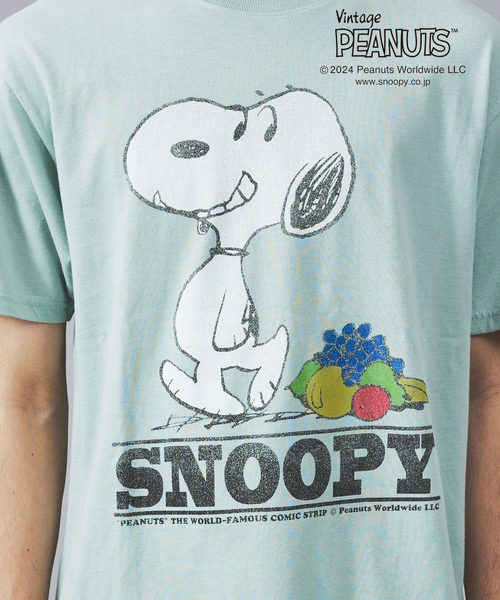 FRUIT OF THE LOOM（フルーツオブザルーム） tシャツ 「FRUIT OF THE