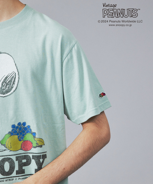 FRUIT OF THE LOOM（フルーツオブザルーム） tシャツ 「FRUIT OF THE