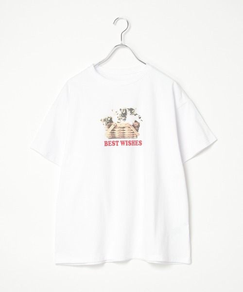 notch. tシャツ 半袖 ベア天竺 キャットプリントTシャツ レディース