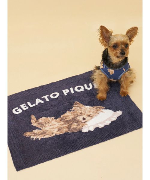 gelato pique（ジェラートピケ） 「CAT＆DOG」ヨークシャーテリア柄