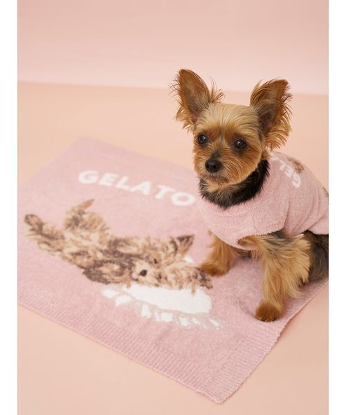 gelato pique（ジェラートピケ） 「CAT＆DOG」ヨークシャーテリア柄