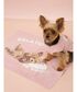 �uCAT��DOG�v���[�N�V���[�e���A���u�����P�b�g �֘A�摜2