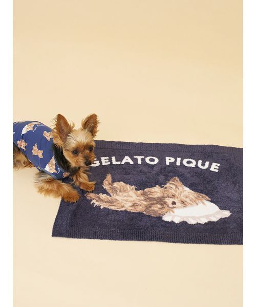 gelato pique（ジェラートピケ） 「CAT＆DOG」ヨークシャーテリア柄