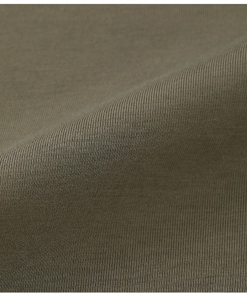 SIPULI tシャツ 「LOTUS×FRESCA」Jersey モックネックプル
