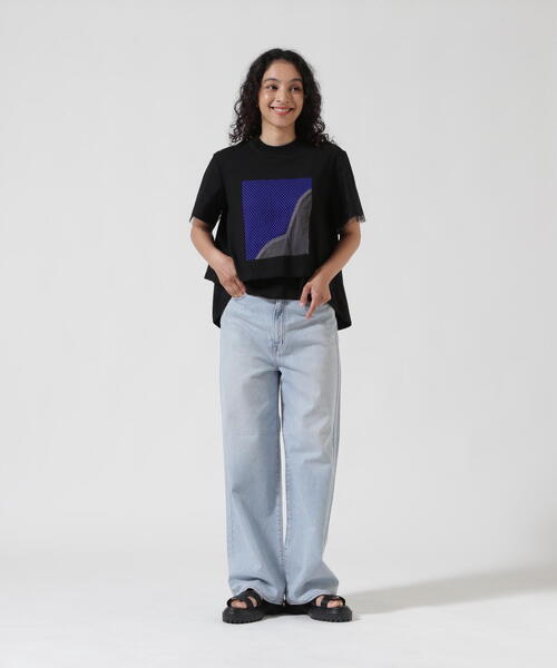 tシャツ AULA AILA（アウラ アイラ）別注メッシュコンビネーションＴ レディース AULA AILA tシャツ AILA（アウラ アイラ）別注メッシュ