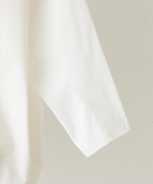 BEARDSLEY（ビアズリー） ブラウス シャツ シャツTシャツ レディース