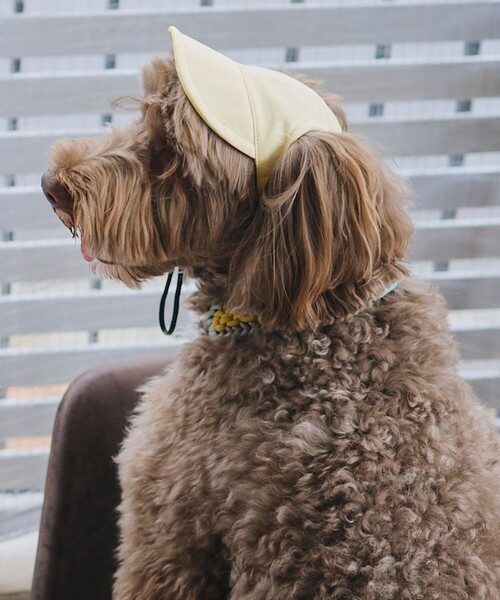 ROPE' PICNIC（ロペ ピクニック） 犬 服 「DOG」「comif(コミフ)×ROPE